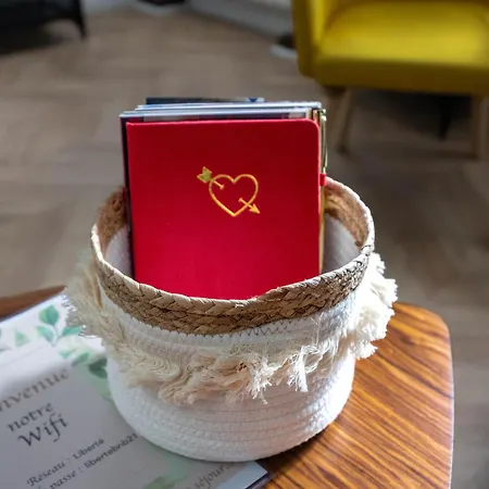 Duplex Standing - Hyper Centre - Equipe Apartment Dijon