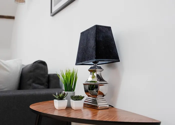 Apartment Duplex Standing - Hyper Centre - Equipe Dijon